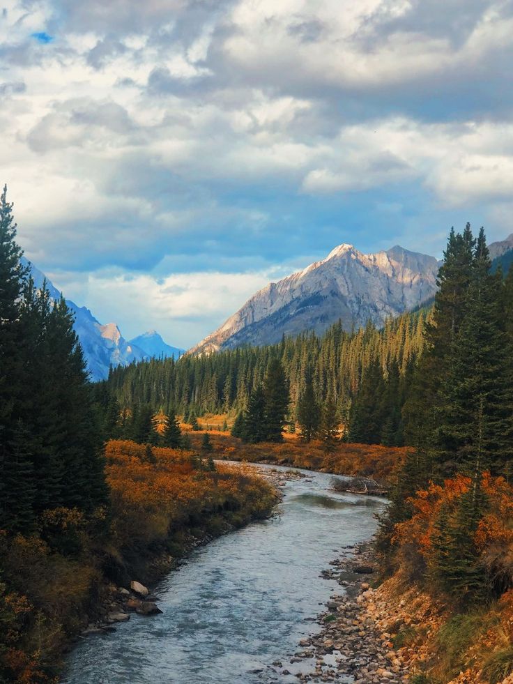 A Simple Pause: Celebrating Thanksgiving with Tea in the Mountains 🍂
